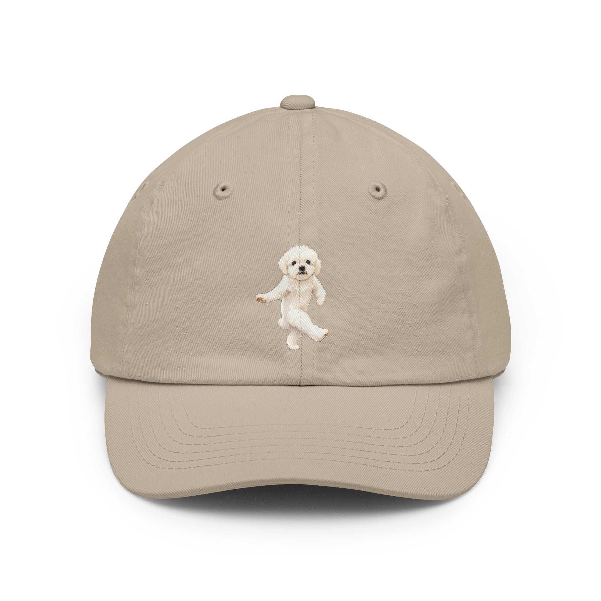 Classic Dad Hat