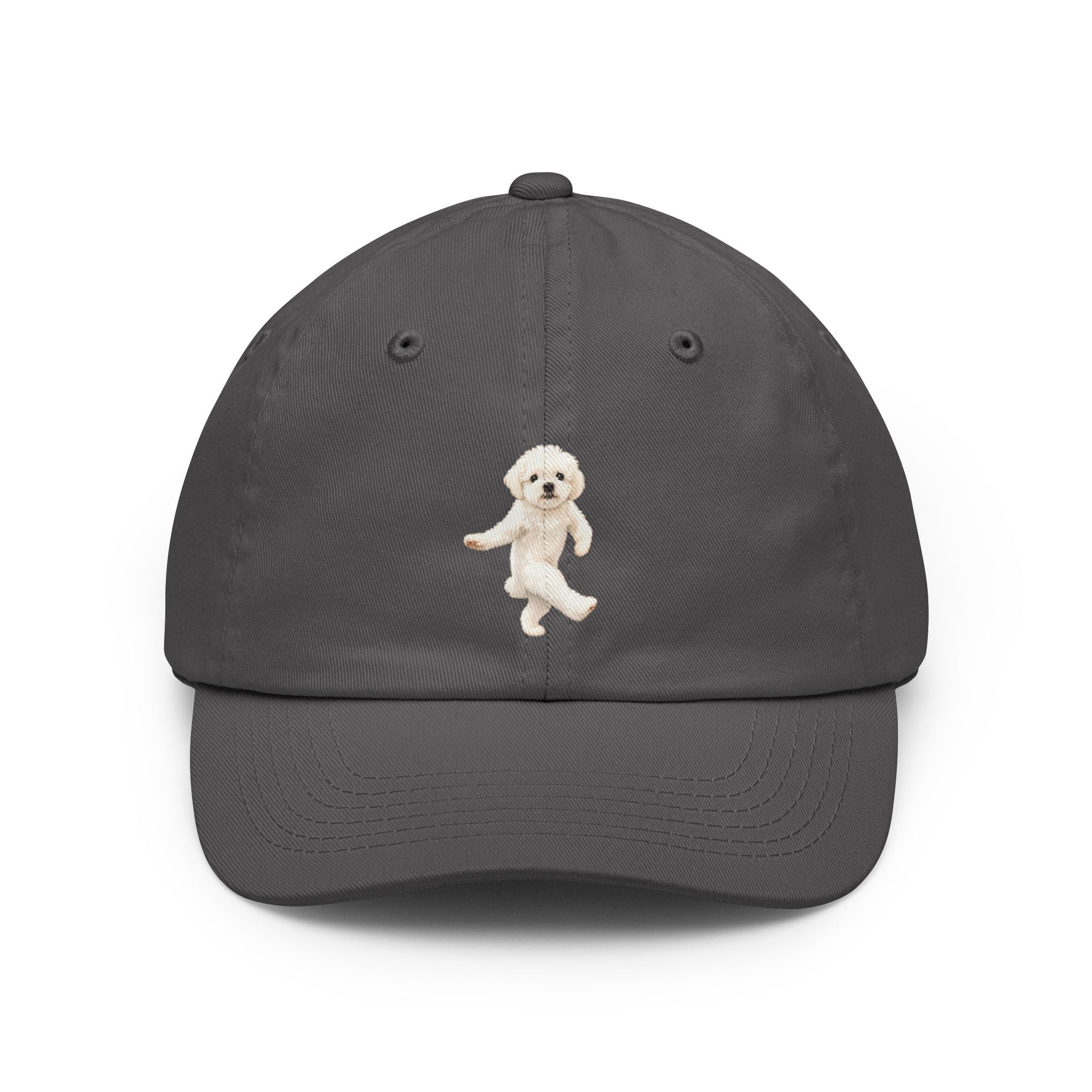 Classic Dad Hat